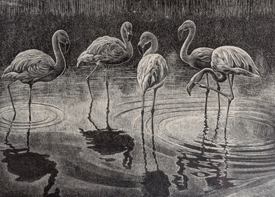 Flamingos; Rawlinson, William Thomas (1912-1993); 1981; WR.33