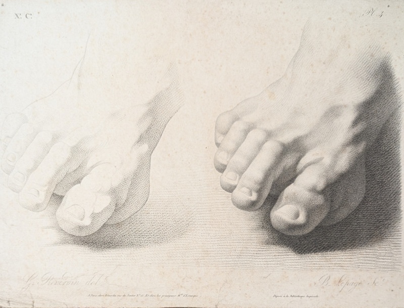 Chap. 10. Pl. 4. Studies of a Foot; Reverdin, François-Gédéon (1772-1828); BIKGM.1815au