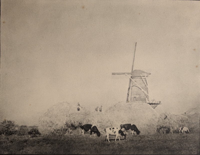 Harvest in Holland; Symes, Christopher; BIKGM.3218.CS45