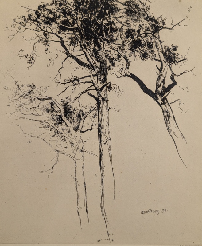 Scotch Firs; Armstrong, Frances Abel William (1849-1920); 1898; BIKGM.9207