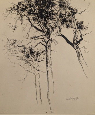 Scotch Firs; Armstrong, Frances Abel William (1849-1920); 1898; BIKGM.9207