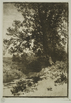 finnie 2358 stream and tree