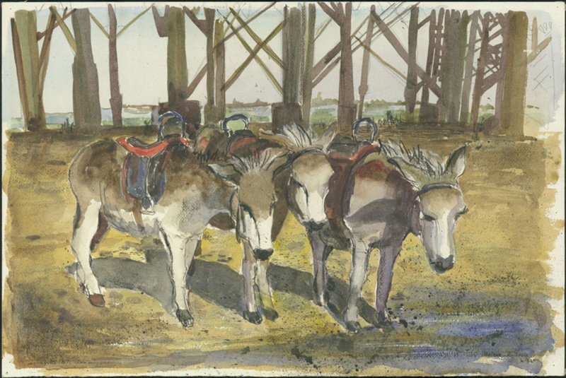 New Brighton Donkeys; Thiis, Helen R; BIKGM.W573