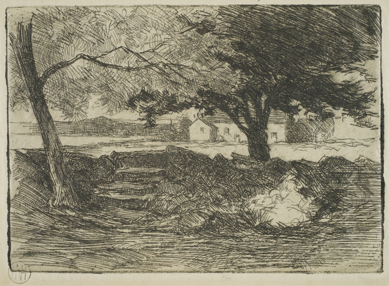 finnie 2352 steps under trees