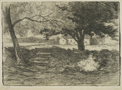 finnie 2352 steps under trees