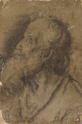 Head of an Old Man; BIKGM.6232