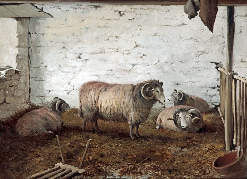 Salving Time, a Study of Rams; Sinclair, John; BIKGM.205f