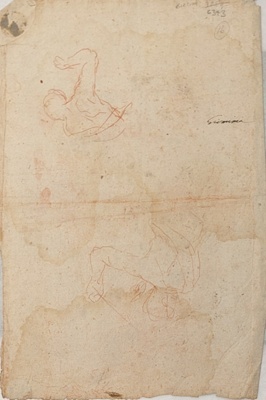 Two Studies of Male Torso; BIKGM.6343