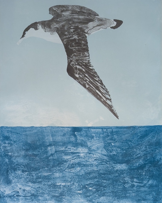 Shearwater; Frink, Elizabeth (1930-1993); BIKGM.4950