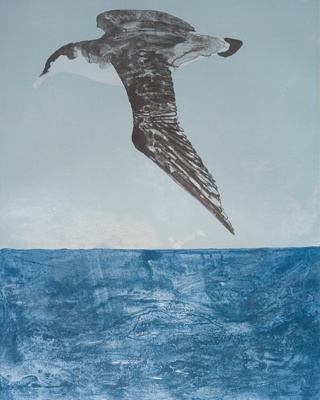 Shearwater; Frink, Elizabeth (1930-1993); BIKGM.4950