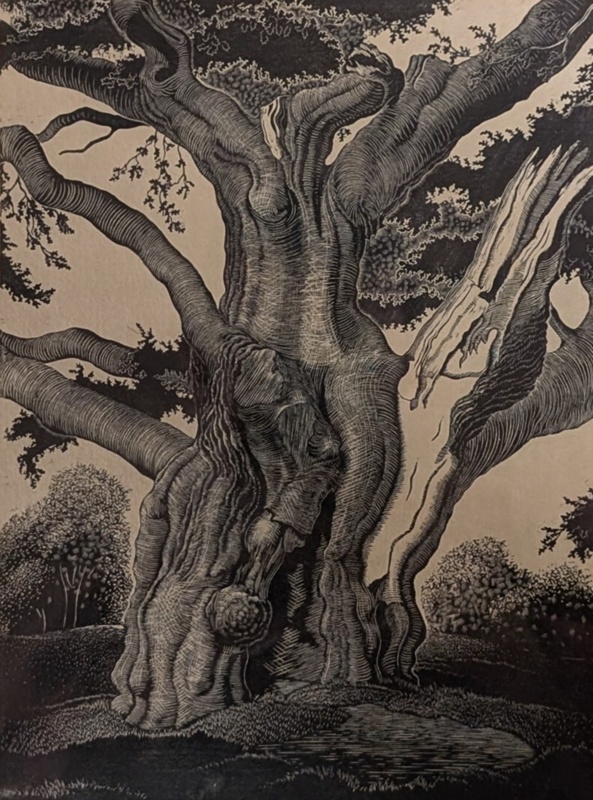 The Ancient Oak; Rawlinson, William Thomas (1912-1993); 1937; WR.42
