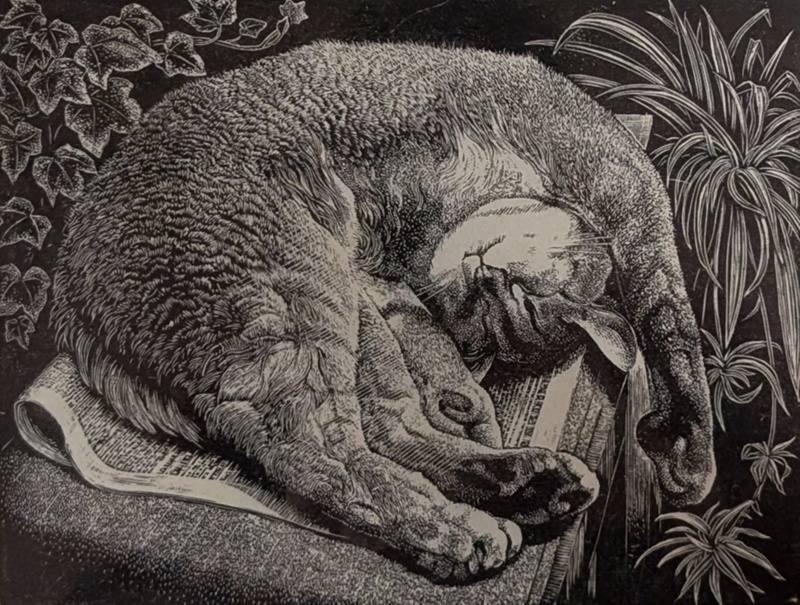 Rufus Relaxing; Rawlinson, William Thomas (1912-1993); 1982; WR.37