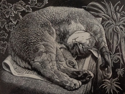 Rufus Relaxing; Rawlinson, William Thomas (1912-1993); 1982; WR.37