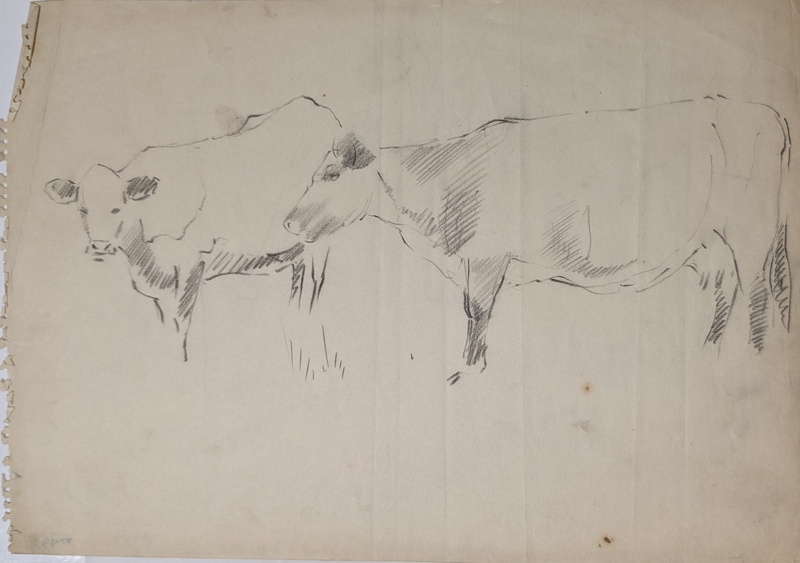 Two Sketches of Cows; Burke, Thomas; BIKGM.7343.2