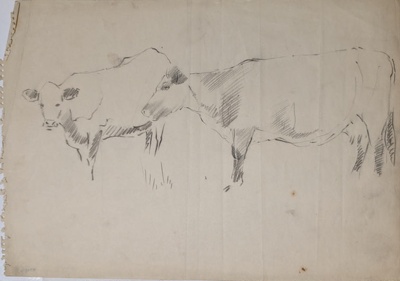 Two Sketches of Cows; Burke, Thomas; BIKGM.7343.2