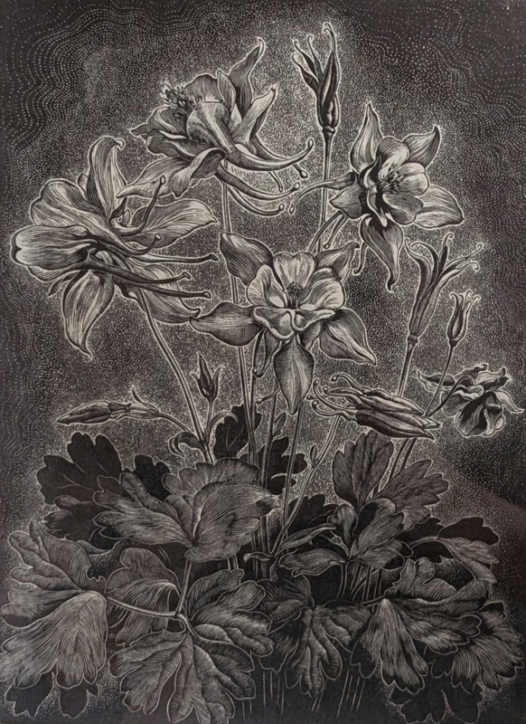 Columbine; Rawlinson, William Thomas (1912-1993); 1962; WR.13