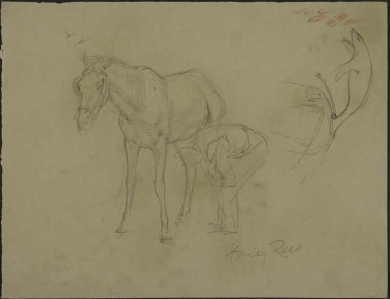 Studies of Horses; Reed, Stanley; BIKGM.5645