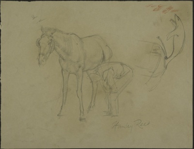 Studies of Horses; Reed, Stanley; BIKGM.5645