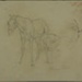 Studies of Horses; Reed, Stanley; BIKGM.5645