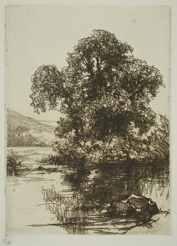 finnie 2369 trees and water