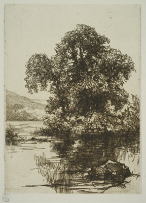 finnie 2369 trees and water