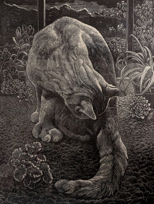 Rufus by Moonlight (My Six Clawed Cat); Rawlinson, William Thomas (1912-1993); 1984; WR.40