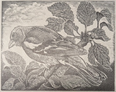 Bird on a Branch; Rawlinson, William Thomas (1912-1993); WR.74