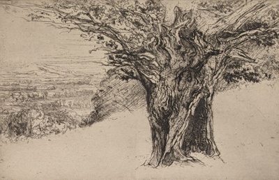 Whitfield Yew; Haden, Francis Seymour (1818-1910); BIKGM.250