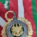 Ancient Order of Foresters Ceremonial Collar and Stick Pin.; George Tutill & Sons; c1930; 2025.2149