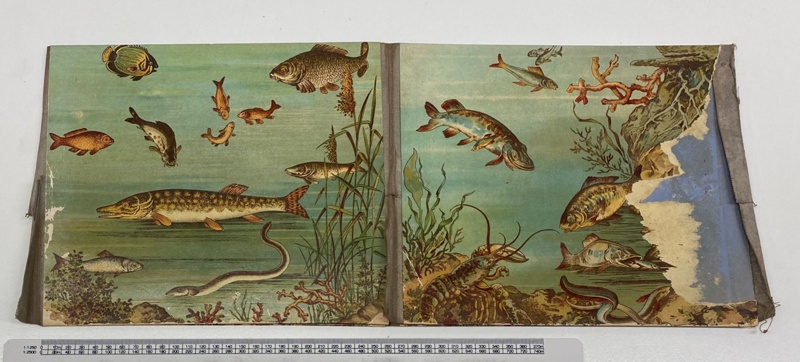 Jeu De Pêche Aimantée JWS&S Bavaria – édition Améliorée – Vintage