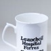 Photograph, Leanchoil Hospital Centenary mug; 1990s; LT.2022.10.5-6
