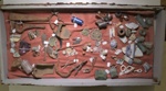 Yeoval Central School Archeological Dig Cabinet; BPM 22/800 - 836