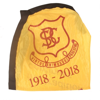 Banner - Synthetic printed banner - The Briars 100th Anniversary 1918 - 2018. ; 2018; T167 Banner - Synthetic printed banner - The Briars 100th Anniversary 1918 - 2018. ; 2018; T167