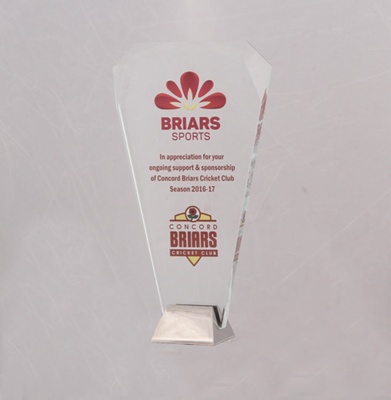 Trophy - Glass Trophy with Briars Sports logo 'In
Appreciation for your ongoing support and
sponsorship of Concord Briars Cricket Club
Season 2016-17; 2016 - 2017; OB0066 Trophy - Glass Trophy with Briars Sports logo 'In
Appreciation for your ongoing support and
sponsorship of Concord Briars Cricket Club
Season 2016-17; 2016 - 2017; OB0066