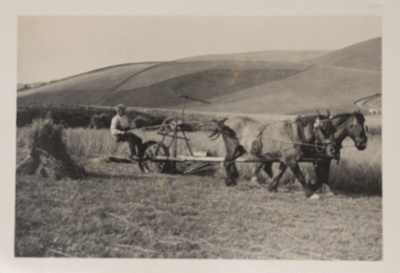 Photograph, reaping at Nether Ardwell, Cabrach; 1950s; CT.2023.03.04