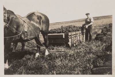 Photograph, peat cutting at Firbriggs, Cabrach; July 1933; CT.2023.03.06