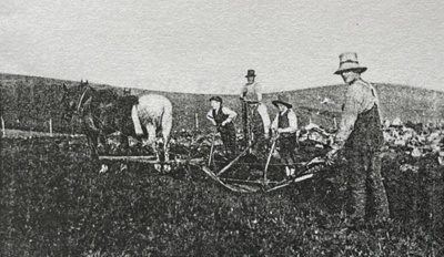 Copy of photograph, ploughing at Broomknowes; 1913; CT.2022.13.09