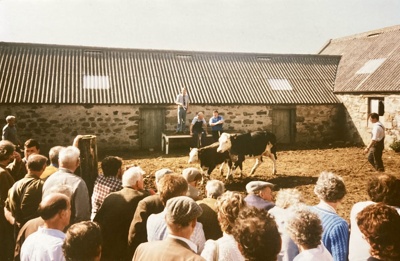 Photograph, roup at Inverharroch; July 1989; CT.2023.01.03