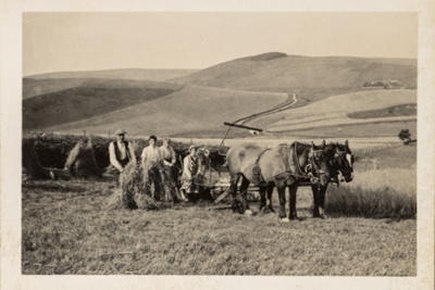 Photograph, reaping at Nether Ardwell, Cabrach; 1950s; CT.2023.03.03