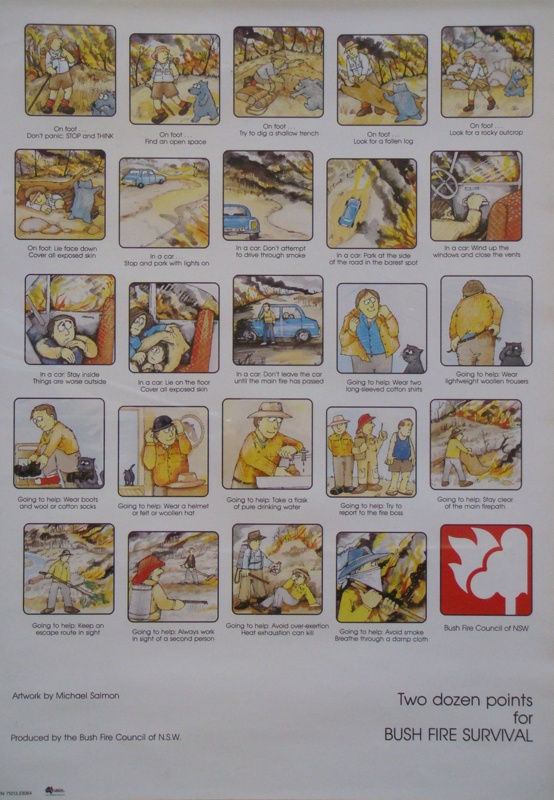 Bush Fire Survival Poster; Bush Fire Council of N.S.W.; 1987 | eHive