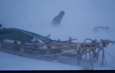 Antarctica. Sledging Trip With Huskies. image item