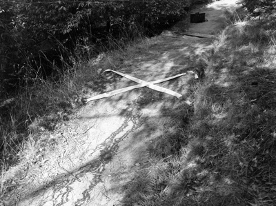 Crime. Murder Scene Where Pauline Parker and Juliet Hulme Murdered Pauline’s Mother Honorah. Victoria Park, Christchurch, Canterbury, New Zealand image item