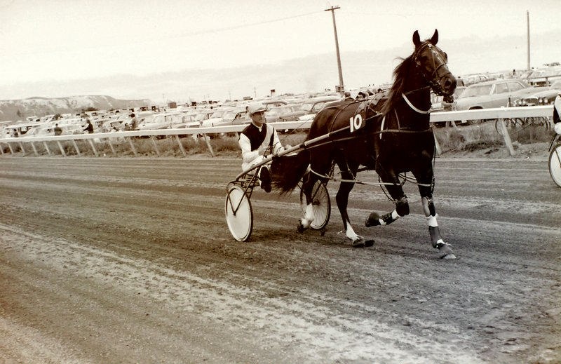 Sport. Kaikoura Trotting Club. 1974 Cup Meeting. Harness Racing, South Bay Racecourse, North Canterbury New Zealand.