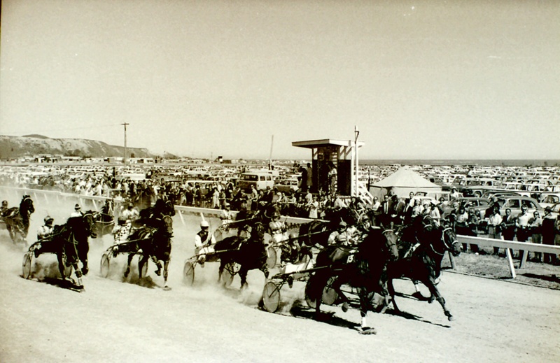 Sport. Kaikoura Trotting Club. 1971 Cup Meeting. Harness Racing, South Bay Racecourse, North Canterbury New Zealand.