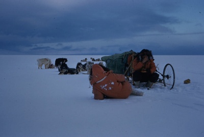 Antarctica. Winter Party Members on a Sledging Trip With Huskies. image item