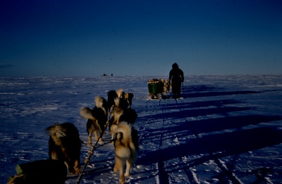 Antarctica. Winter Party Members on a Sledging Trip With Huskies. image item