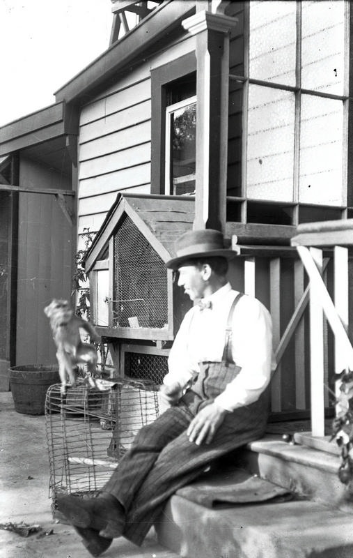 Man Seated on Doorstep in his Back Garden with Monkey. Cages Behind. Christchurch, Canterbury. New Zealand.