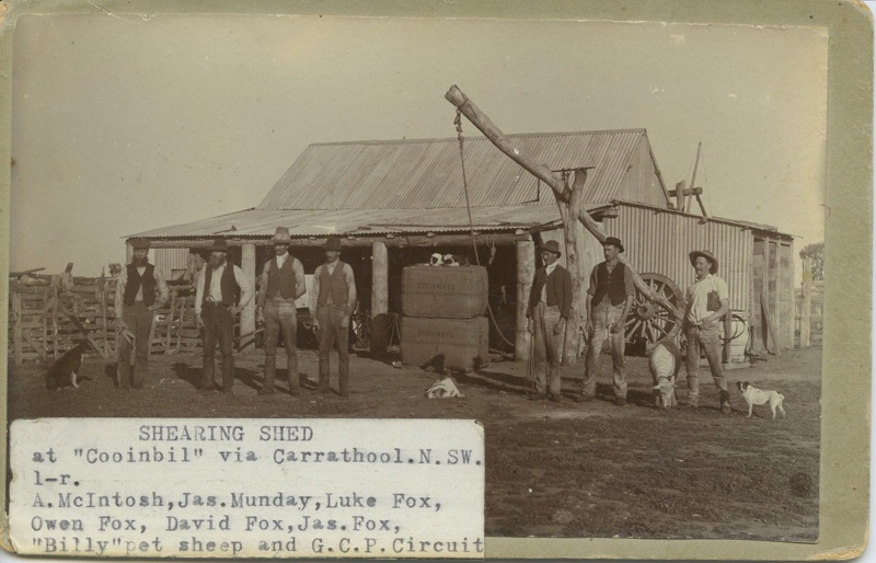 Queanbeyan Shearing Team; MF80 eHive