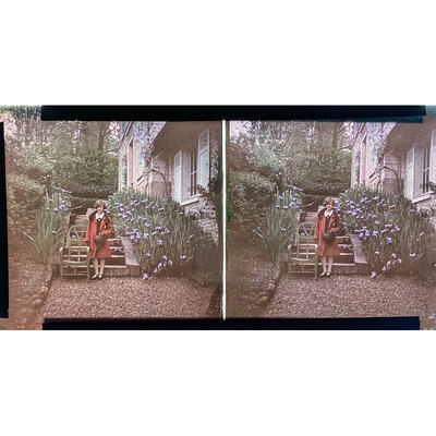 Set of stereo Autochromes in burl walnut box; c. 1910; M-V005