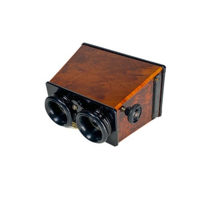 Stereoscope 'Vérascope', Ronce de Thuya; Richard, Jules; c. 1915; M-SH118